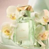 Eau De Lingerie – Eau De Toilette Eau De Lingerie – Eau De Toilette