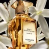 Jasmin Grandiflorum Extrait 30 – Extrakt Jasmin Grandiflorum Extrait 30 – Extrakt
