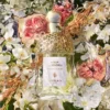 Nerolia Vetiver – Eau de Toilette Nerolia Vetiver – Eau de Toilette