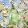 Nerolia Vetiver Perle – Eau de Parfum Nerolia Vetiver Perle – Eau de Parfum