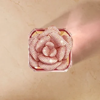 Rose Centifolia – Exceptionell tallrik