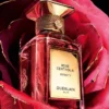 Rose Centifolia Extrait 1 – Extrakt Rose Centifolia Extrait 1 – Extrakt